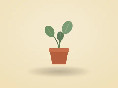 Monstera deliciosa + pot terre cuite
