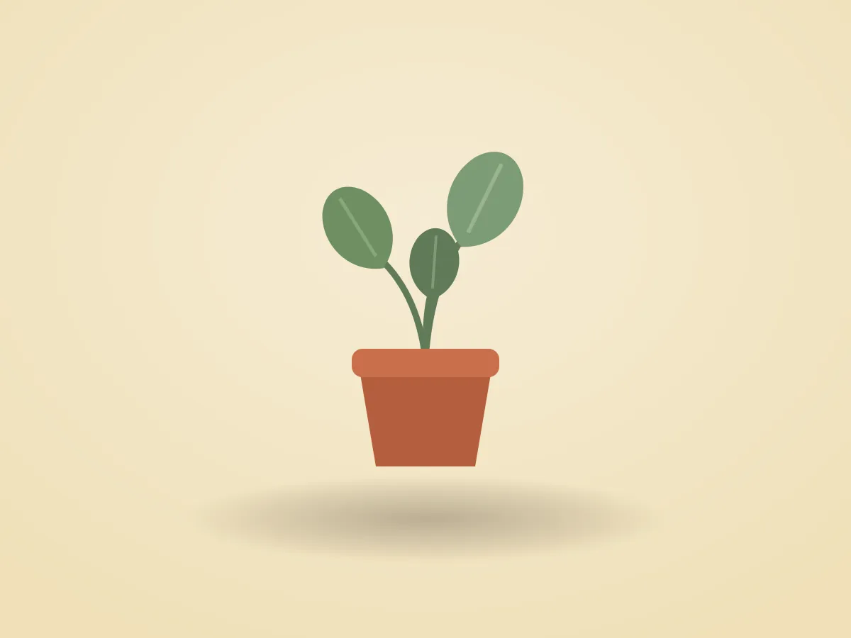 Monstera deliciosa + pot terre cuite — photo 1 sur 2